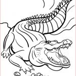 Coloriage Crocodile Élégant Printable Crocodile Coloring Page Free Pdf At