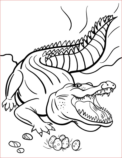 Coloriage Crocodile Élégant Printable Crocodile Coloring Page Free Pdf At