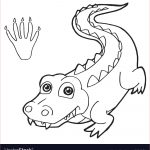 Coloriage Crocodile Génial Paw Print With Crocodile Coloring Page Royalty Free Vector
