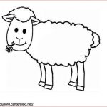 Coloriage Mouton Inspiration Coloriage Animaux De La Ferme