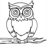 Coloriage Chouette Nice Owl 60 Animals – Printable Coloring Pages