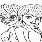 Ladybug Coloriage Nice Ladybug And Cat Noir Coloring Pages Coloring Pages