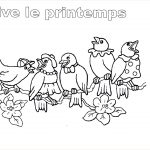 Coloriage De Printemps Nouveau Coloriage Vive Le Printemps Oiseau