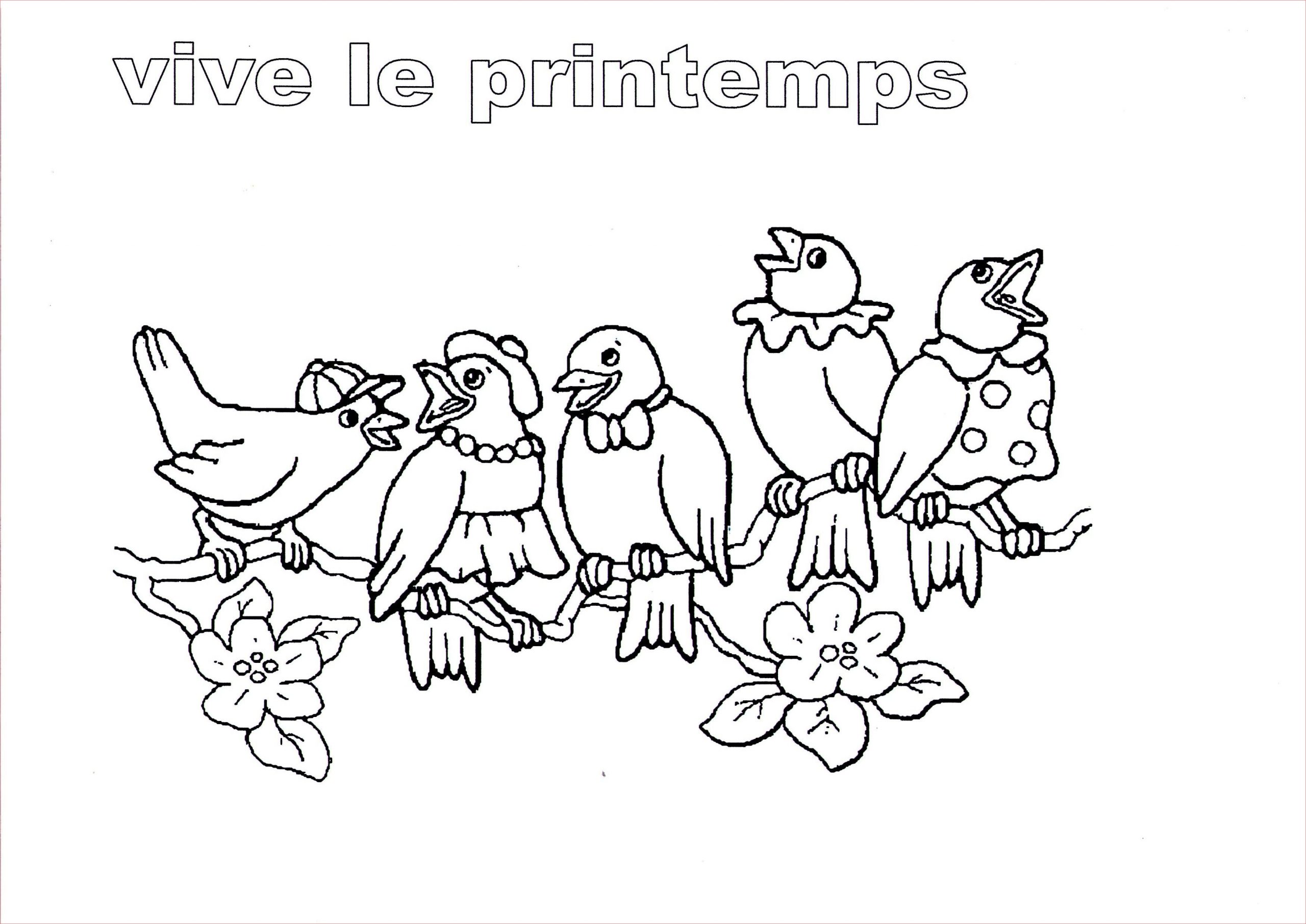 Coloriage De Printemps Nouveau Coloriage Vive Le Printemps Oiseau