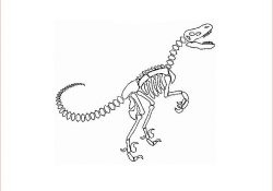 Coloriage Squelette Meilleur De Coloriage Dinosaure Squelette Dessin