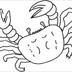 Coloriage Crabe Élégant Crabe 48 Animaux – Coloriages à Imprimer