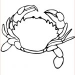 Coloriage Crabe Génial Crabe Coloriage De Crabe A Imprimer Gratuitement