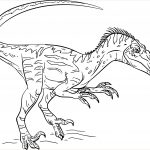 Coloriage Dinausore Inspiration Coloriage Dinosaure Velociraptor à Imprimer Sur Coloriages