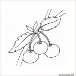 Coloriage Fruits Luxe Coloriage Fruit 71 Dessin
