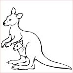 Coloriage Kangourou Nice Kangourou Animaux – Coloriages à Imprimer