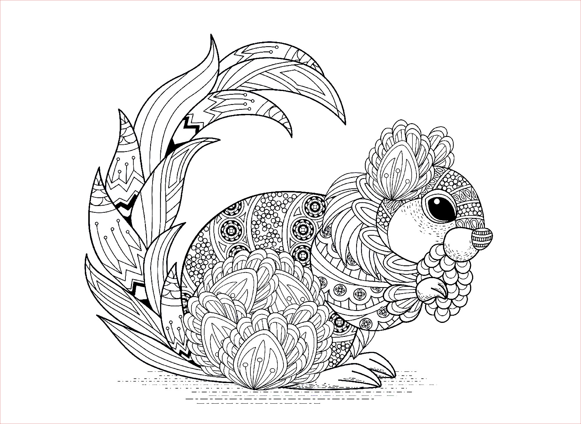 Coloriage Ecureuil Luxe Squirrel With Patterns Squirrels & Rodents Adult