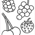 Coloriage Fruit Luxe Coloriage 4 Petits Fruits Dessin