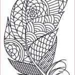 Coloriage Plume Nouveau Awesome Coloring Pages For Adults Feathers