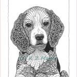 Coloriage À Imprimer Mandala Difficile Chien Frais Small Med Breed Dog Portraits Matted Prints Select