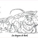 Coloriage Dragon À Imprimer Nouveau Coloriage A Imprimer Dragons 2 Les Dragons De Berk Gratuit
