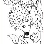 Hérisson Coloriage Génial Hedgehog Coloring Pages Coloringpages1001