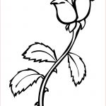 Rose Coloriage Élégant Roses Coloring Pages To And Print For Free