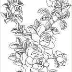 Rose Coloriage Génial Coloriage Roses 60 Dessin