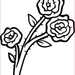 Rose Coloriage Inspiration Livre De Coloriage Fleur Rose Vecteurs Libres De Droits Et
