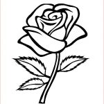 Rose Coloriage Luxe Coloriage Rose à Décorer Dessin Gratuit à Imprimer