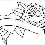 Rose Coloriage Luxe Dessin Rose Et Coeur