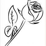 Rose Coloriage Nice Rose Color Clipart 20 Free Cliparts