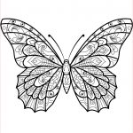 Coloriage Mandala Papillon Génial Zentangle Butterfly Coloring Page