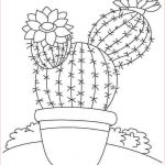 Coloriage Cactus Luxe Beautiful Cactus Coloring Pages For Kids In 2020