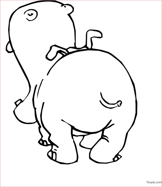 Hippopotame Coloriage Inspiration Hippopotame Imprimer Le Coloriage Hippopotames