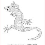 Coloriage Salamandre Nice Lizard Coloring Book For Adults Vector Illustration