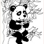Coloriage Panda Mignon Unique Image Panda Dessin Gratuit