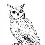 Coloriage De Hibou Frais Owls To Color For Kids Owls Kids Coloring Pages