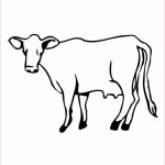 Coloriage De Vache Luxe Coloriages A Imprimer Dessin Vache