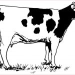 Coloriage De Vache Nice Coloriage Vache Les Beaux Dessins De Animaux à Imprimer