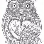 Coloriage Magique Syllabes Cp Luxe Animal Mandala Coloring Pages