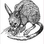Coloriage Rat Frais 49 Dessins De Coloriage Rat à Imprimer