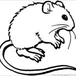 Coloriage Rat Nouveau Sélection De Coloriage Rat à Imprimer Sur Laguerche