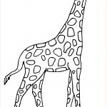 Coloriage De Girafe Nice Belle Coloriage De Girafe A Imprimer