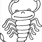 Coloriage Scorpion Frais Coloriage Scorpion à Grosse Queue Dessin Gratuit à Imprimer