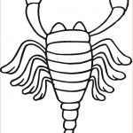 Coloriage Scorpion Unique Coloriages Scorpions Imprimable Gratuit Pour Les