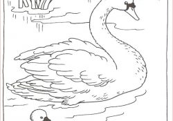 Coloriage Cygne Meilleur De 10 Images About Coloring Pages On Pinterest