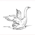 Coloriage Cygne Nice Coloriage Cygne 1 Coloriage Cygnes Coloriages Animaux