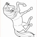 Coloriage A Imprimer Cheval Inspiration Coloriage Colorier Coloriage Chevaux Colorier