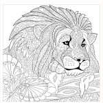 Coloriage Lion À Imprimer Nice Roi Lion Et Motifs Lions Coloriages Difficiles Pour