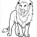 Coloriage Lion À Imprimer Nouveau 108 Dibujos De Leones Para Colorear Oh Kids