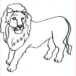 Coloriage Lion À Imprimer Unique Lions Imprimer Le Coloriage De Lion