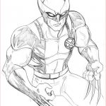 Wolverine Coloriage Luxe Pin By Spetri 4kids On Lineart