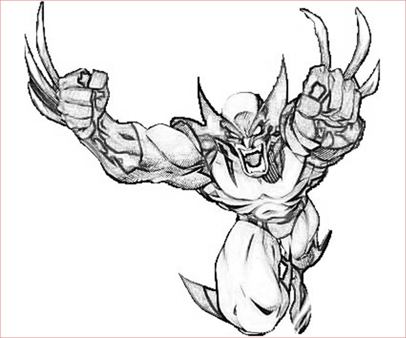 Wolverine Coloriage Nice Coloriage Wolverine Super Héros – Album De Coloriages