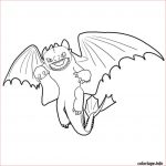 Coloriage Dragon Krokmou Nice 30 Coloriage Krokmou Génial With Images