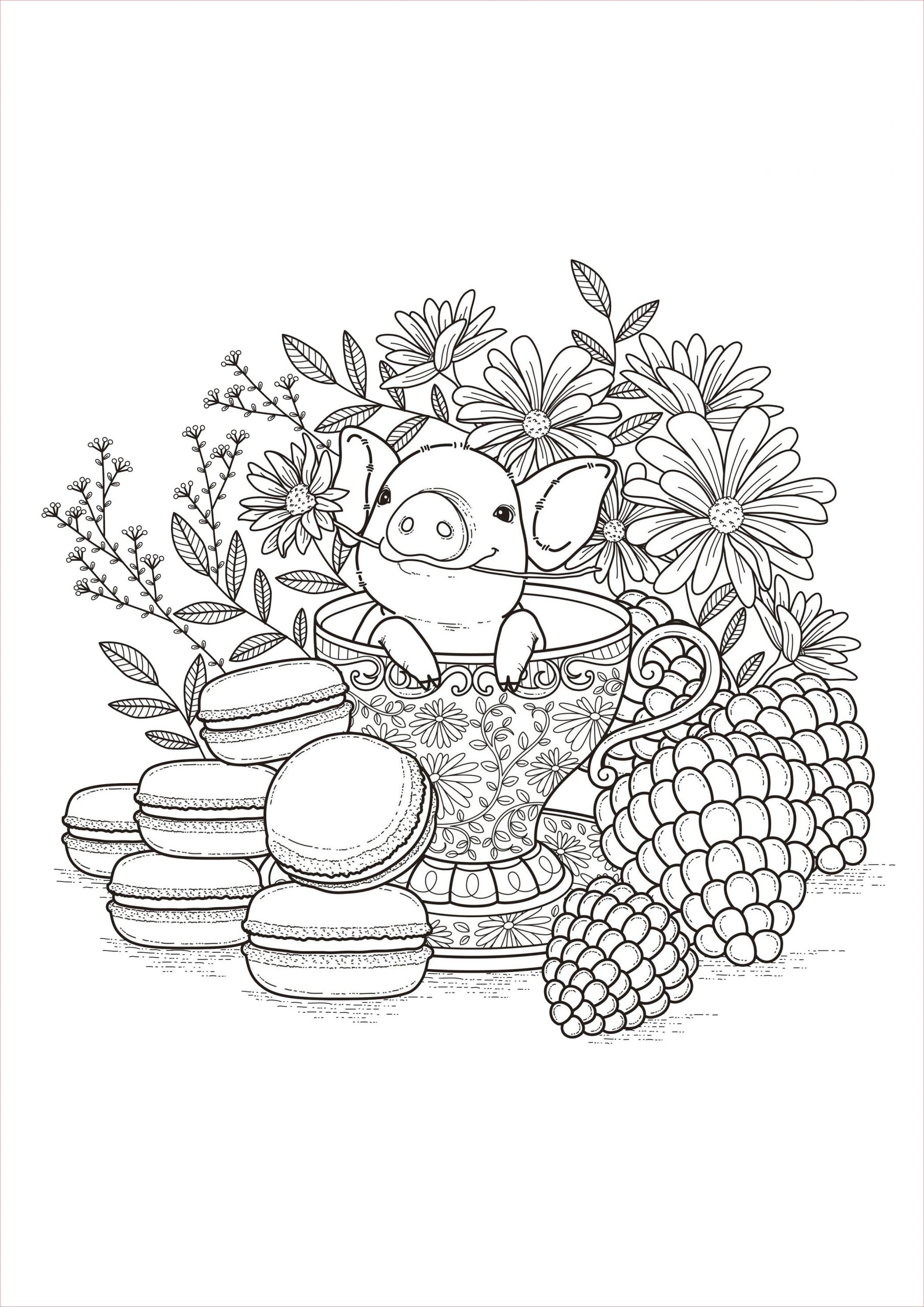 Coloriage Gourmandise Inspiration Fruits Macarons Fleurs Et Végétation Coloriages